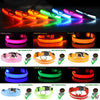 Snifii LED Light-Up Dog Collar – Waterproof, Adjustable & Reflective for Pets