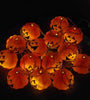 Snifii Seasonal Glow – Pumpkin String Lights for Halloween & Christmas Decor