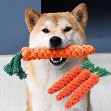 Carrot Dog Chew Toy – Durable Rope Toy