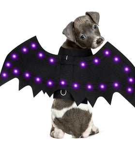 Snifii Light-Up Dog Halloween Costume – Bat Wings with 16 Purple Lights (Small)