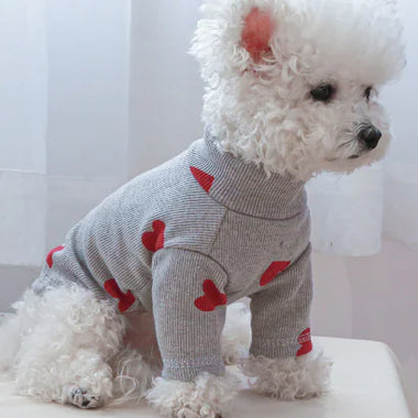 Snifii Printed Love Sweater for Pets