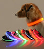 LED Dog Collar – USB Rechargeable, Waterproof & Night Safety Light