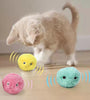 Smart Cat Toys