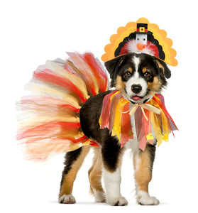 Snifii Dog Thanksgiving Costume – 3PCS Turkey Headband, Tutu Skirt & Collar Set for Dogs and Cats
