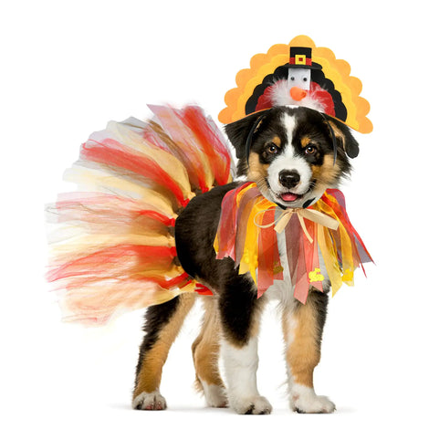 Snifii Dog Thanksgiving Costume – 3PCS Turkey Headband, Tutu Skirt & Collar Set for Dogs and Cats