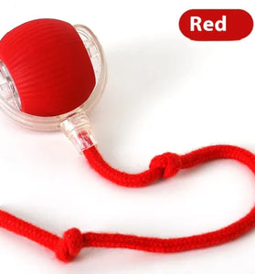 Snifii Hunter's Instinct Cat Toy