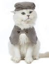 Snifii Cat Halloween Costume – Cute Plaid Pet Shirt with Classic Hat for Cats (M)